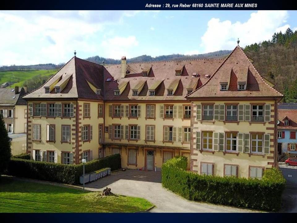 Aux Souvenirs D'Anaelle Gites 5 Personnes Sainte-Marie-aux-Mines Kültér fotó