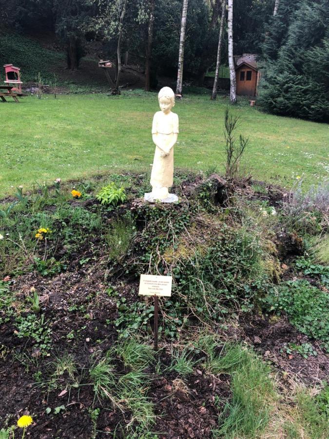 Aux Souvenirs D'Anaelle Gites 5 Personnes Sainte-Marie-aux-Mines Kültér fotó