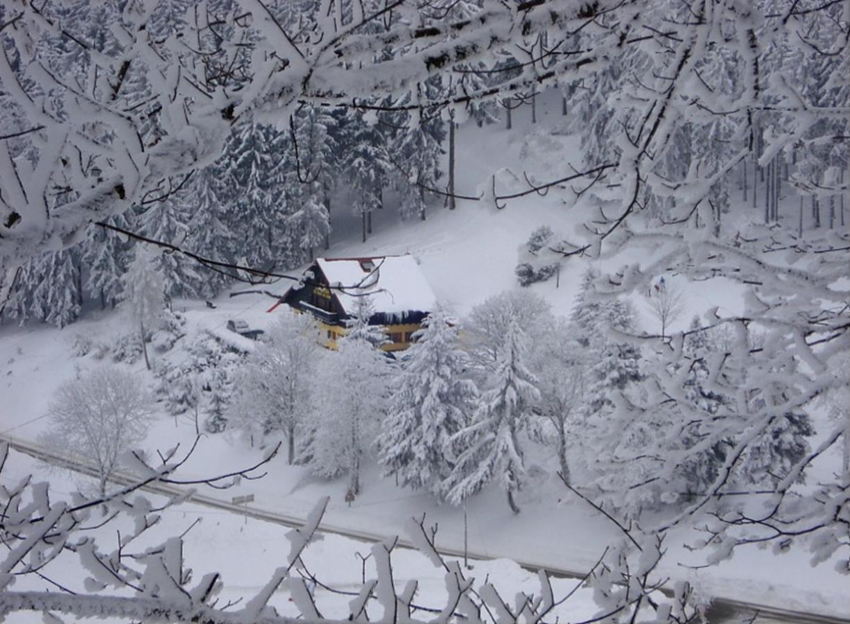 Aux Souvenirs D'Anaelle Gites 5 Personnes Sainte-Marie-aux-Mines Kültér fotó