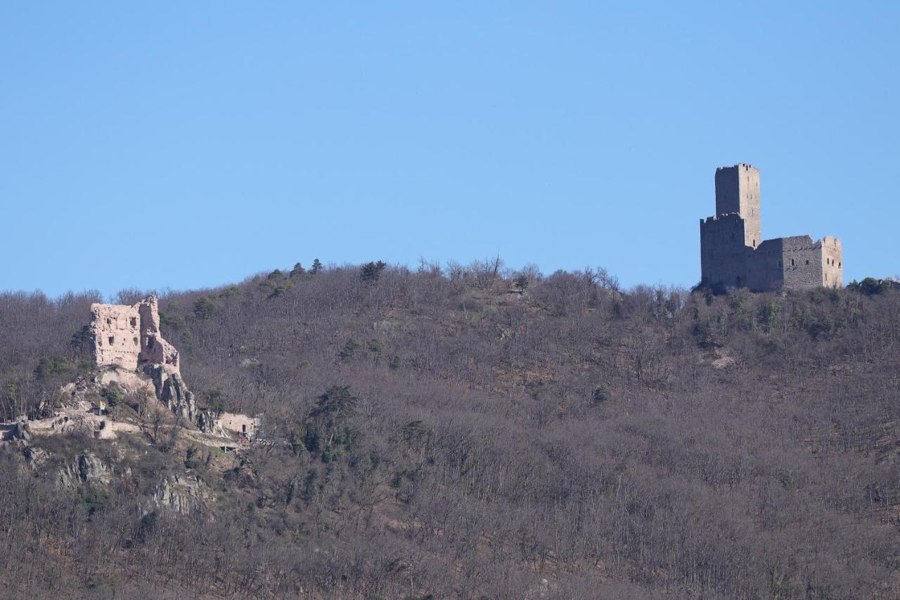 Aux Souvenirs D'Anaelle Gites 5 Personnes Sainte-Marie-aux-Mines Kültér fotó